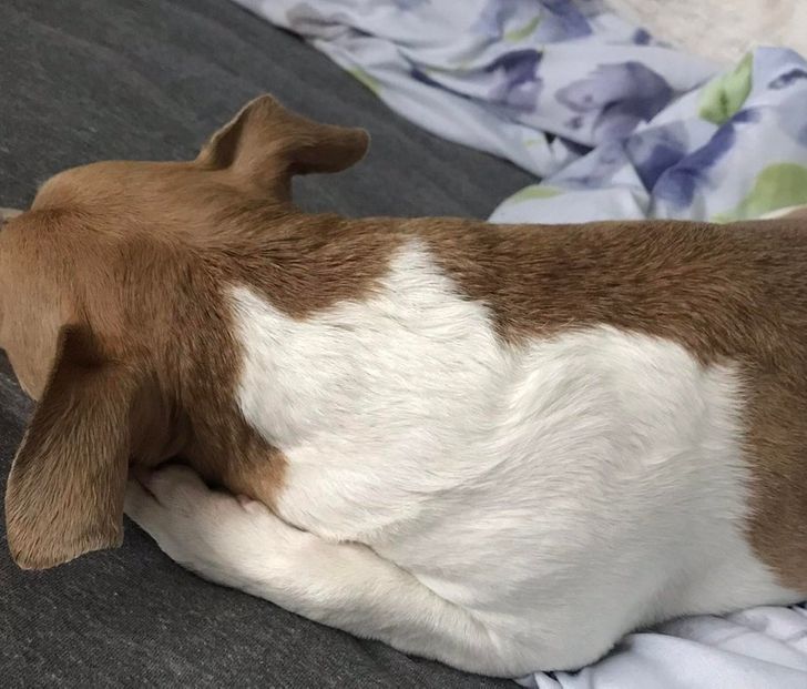 8e4acd573d8450c897e13cceb2