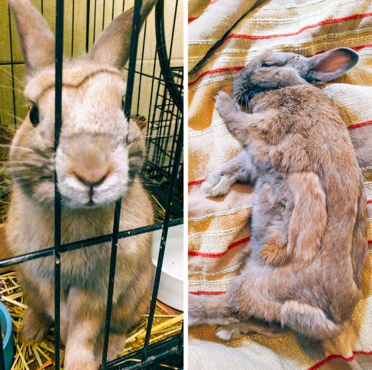 8e4d71541384271d66351e3310