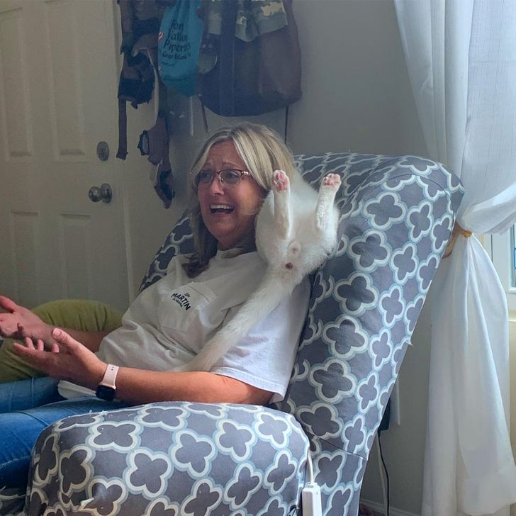 8e50ec5a4f8c0d7d933cee3d09