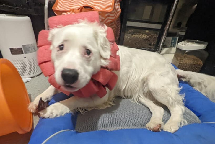 8e5292598b859b85f15d92accd