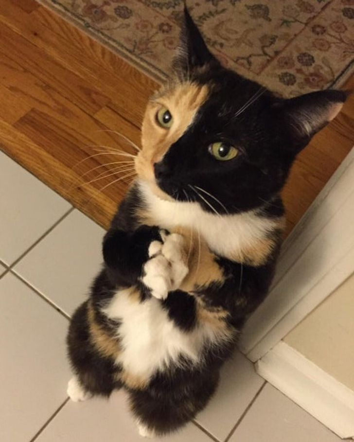 8e570b5313b21ce3bc7144f607