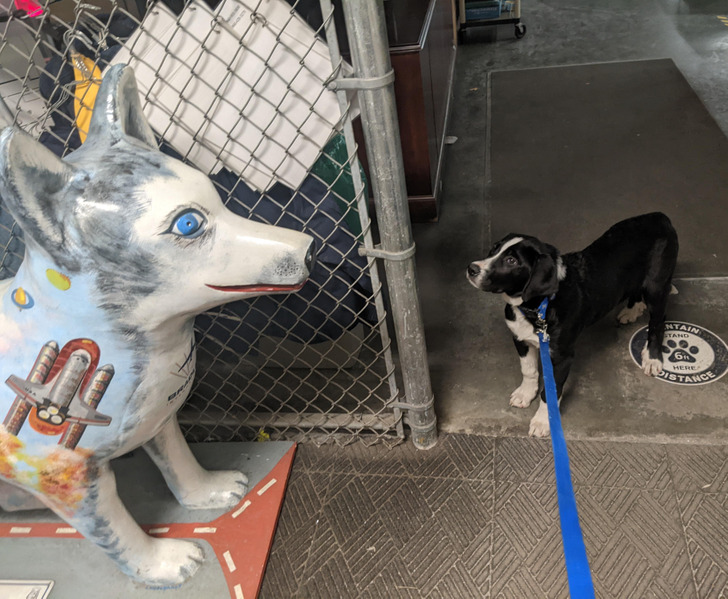 8e5a1d57e3a84018b0ece1c22f