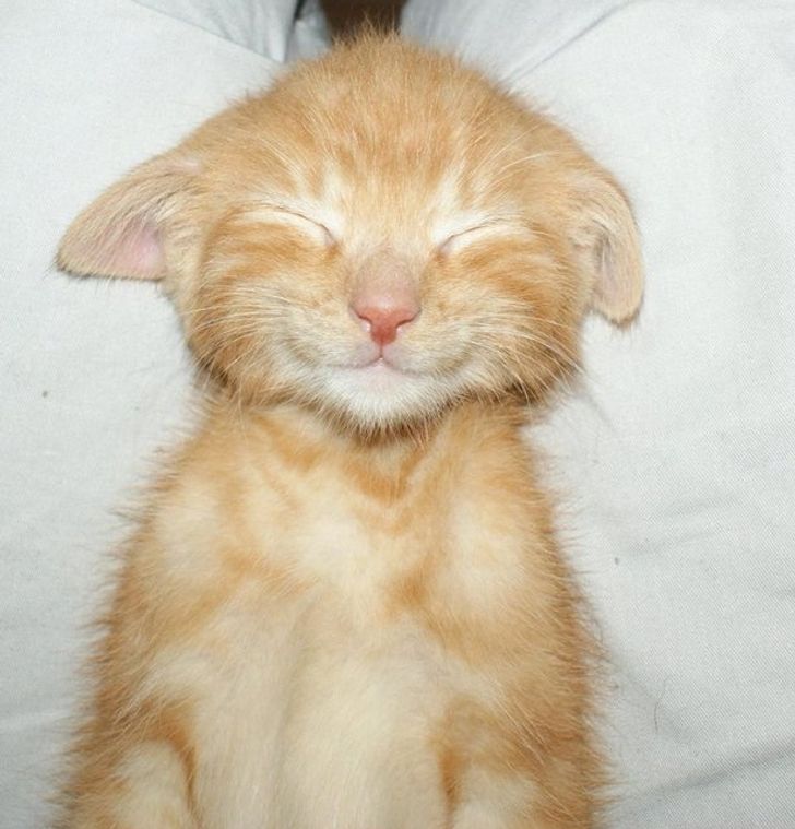 8e5af05421aa0ab0246aa90a28