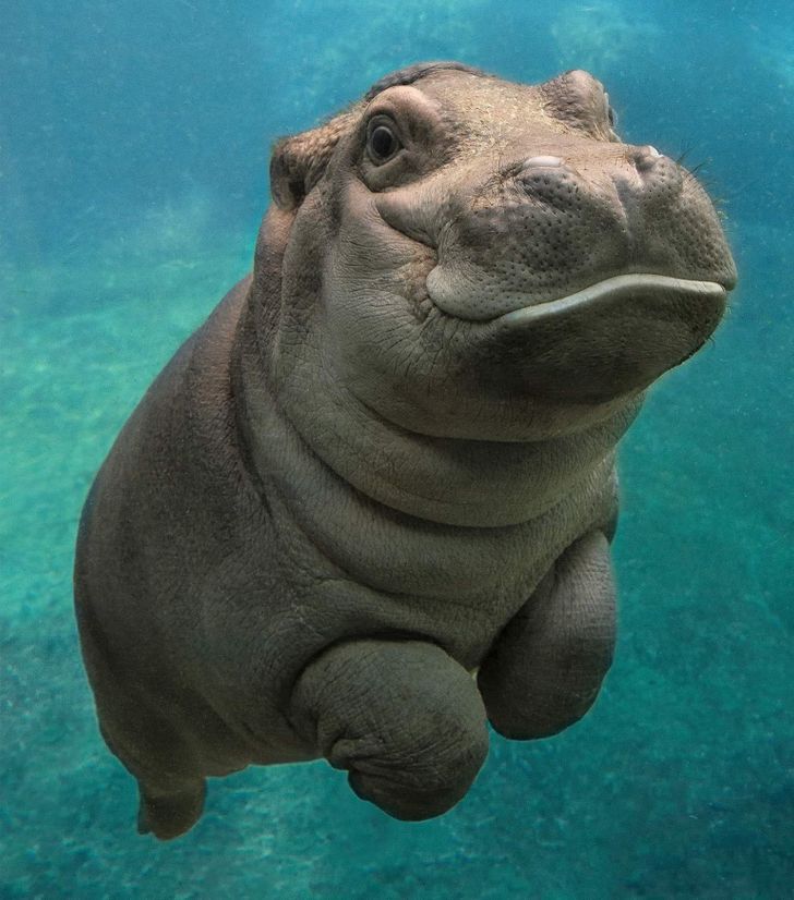 8e5bc25202aa7264ff5eed1d5e