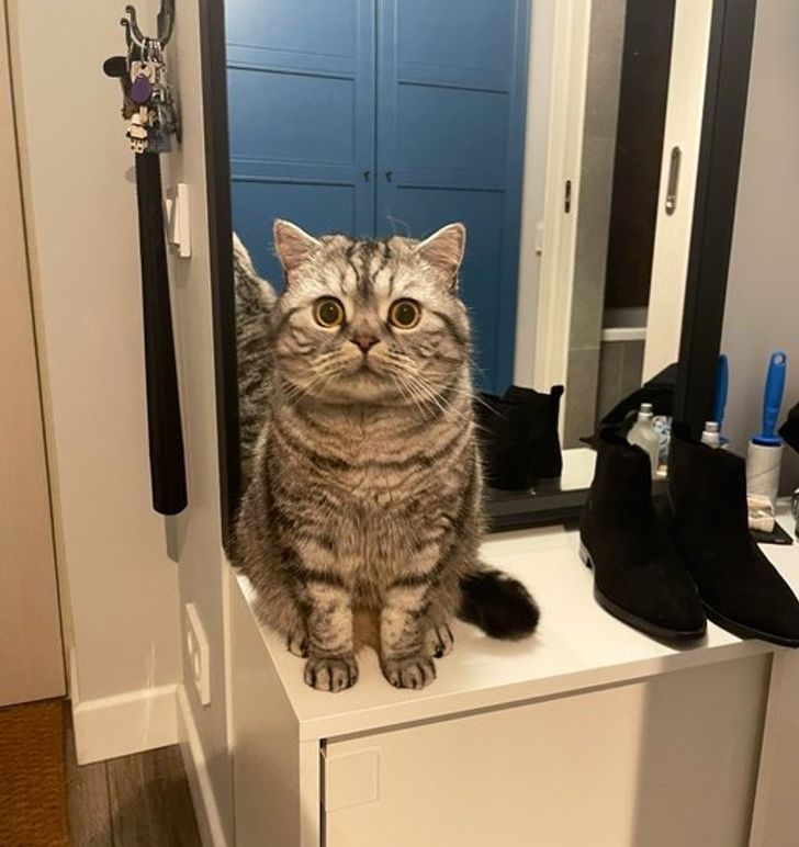 8e68b2513a8a368abe72911f41