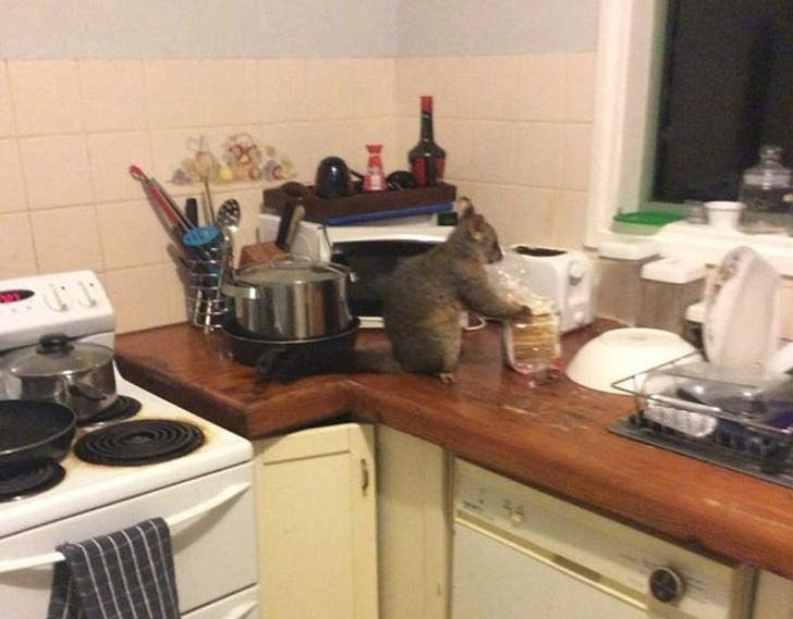 8e697b557e9077a43a3bfb3053 8e697b557e9077a43a3bfb3053