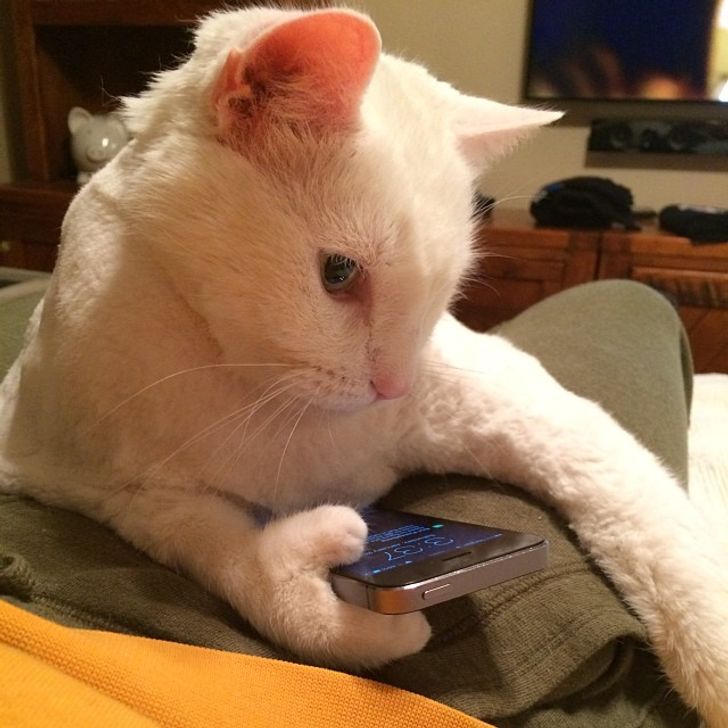 8e6a775700a3b81bd63e430855