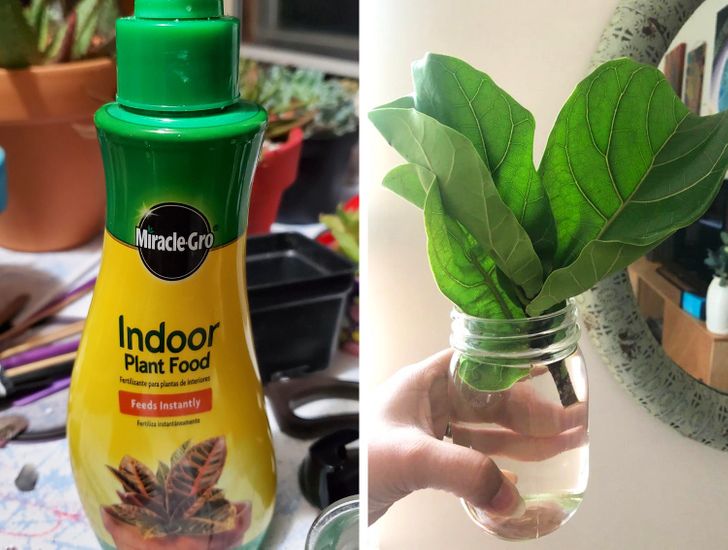 8e6b375ab4b1dd686428a3c6e4