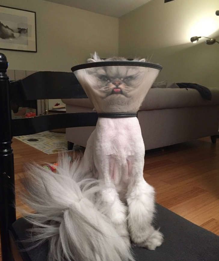 8e732955adb693c1baf07d116b