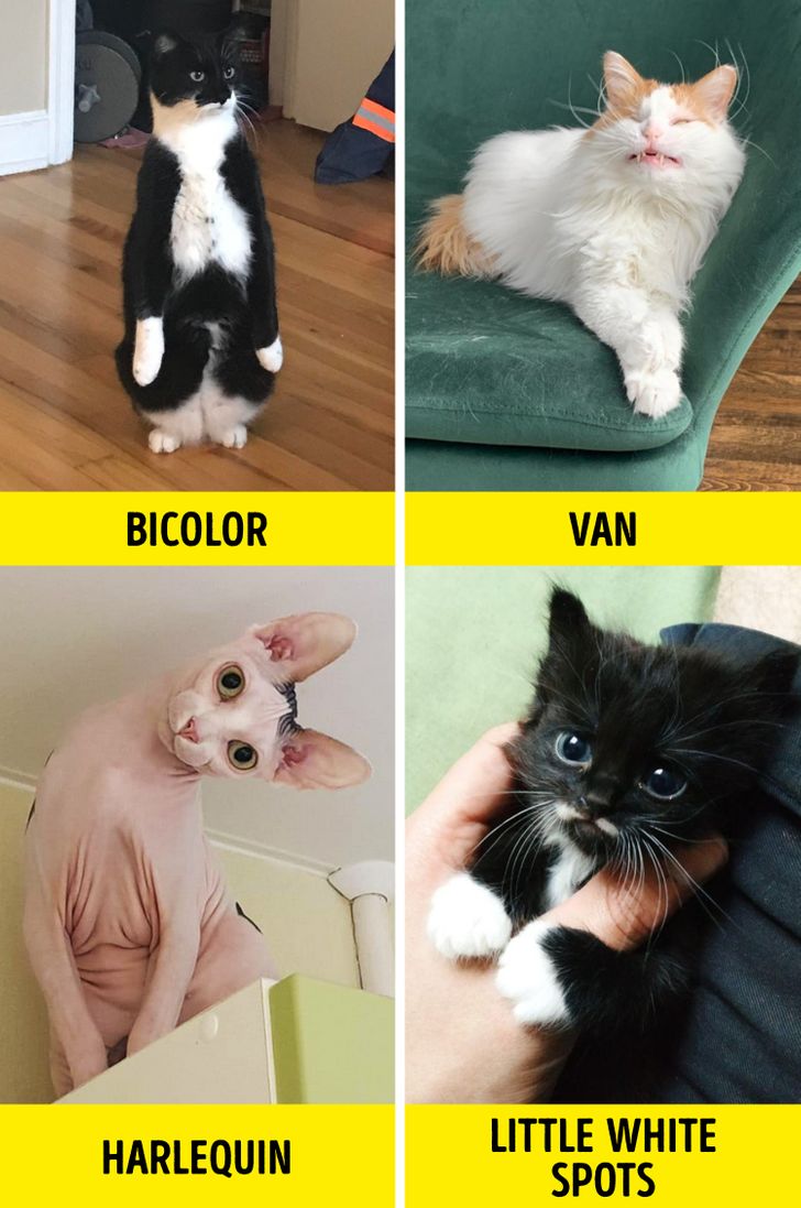 8e7b6252098dc636ca99517b48