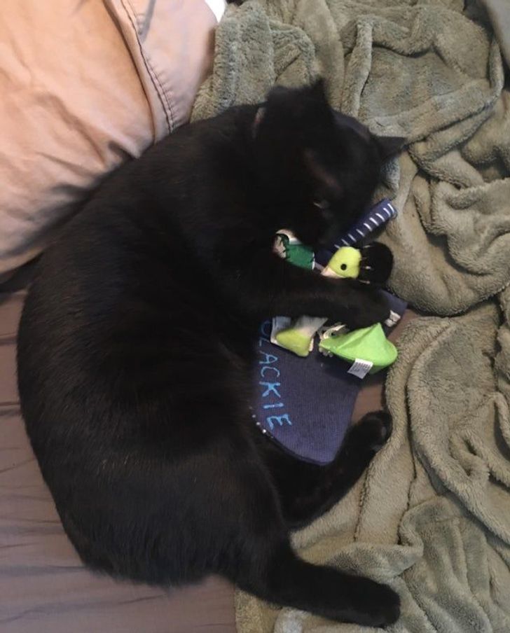 8e7cd7547982b7ef8200cf2c57