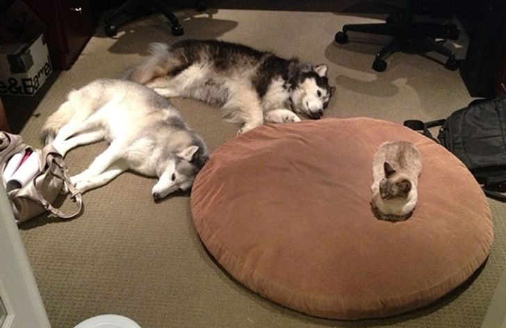 8e81a45806b2095ce7fa4fbb2b