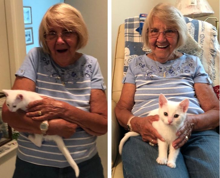 8e89f4585aab05074ab7fc5eaa