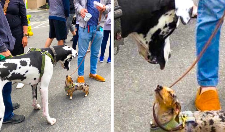 8e8a8a587b91b4bcdc4155410e