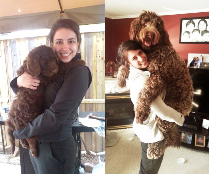 8e8bc75836ad1f7157c736cce5