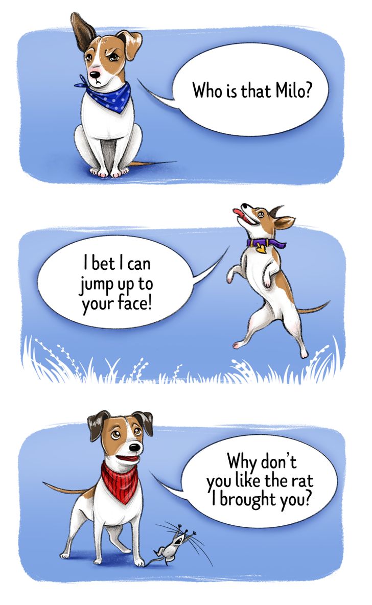 8e987854fdbdbc721b5ad96d81 8e987854fdbdbc721b5ad96d81