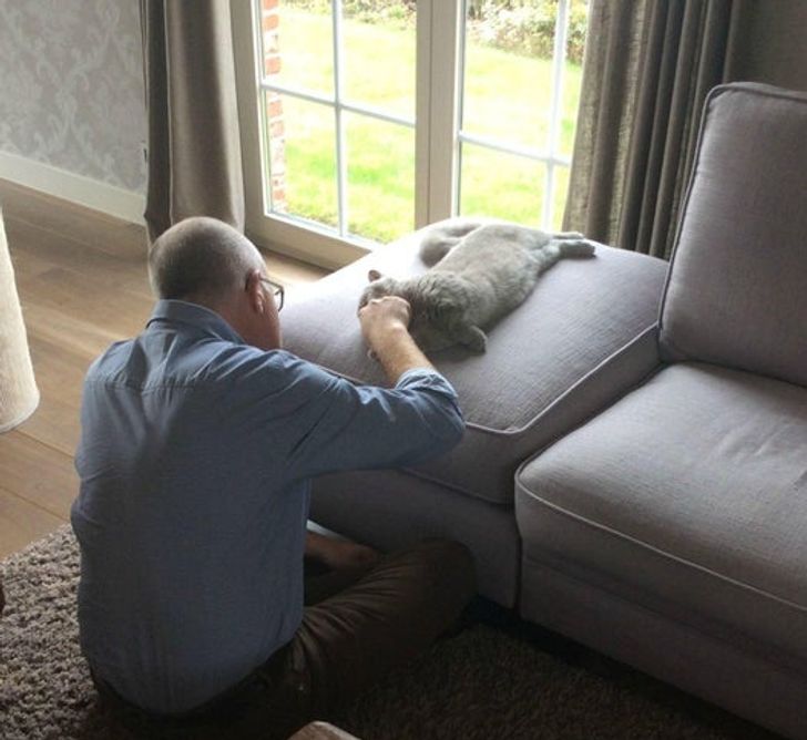 8e99305a198e256b2c7928cb31