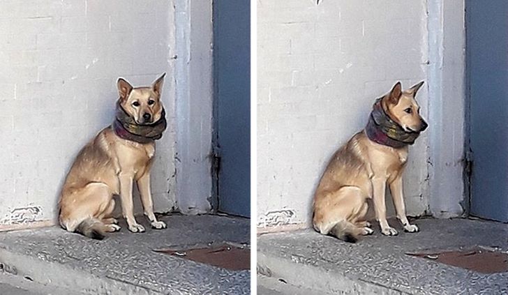 8e99c05512933b6870ea7c71d6