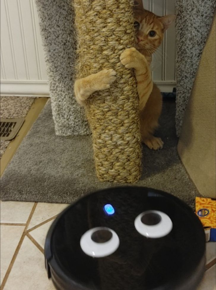 8ea03551b4bb79c8ca12eb1f9a