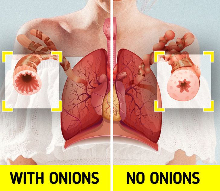 8ea1245fb79a5fa4870fd1b501