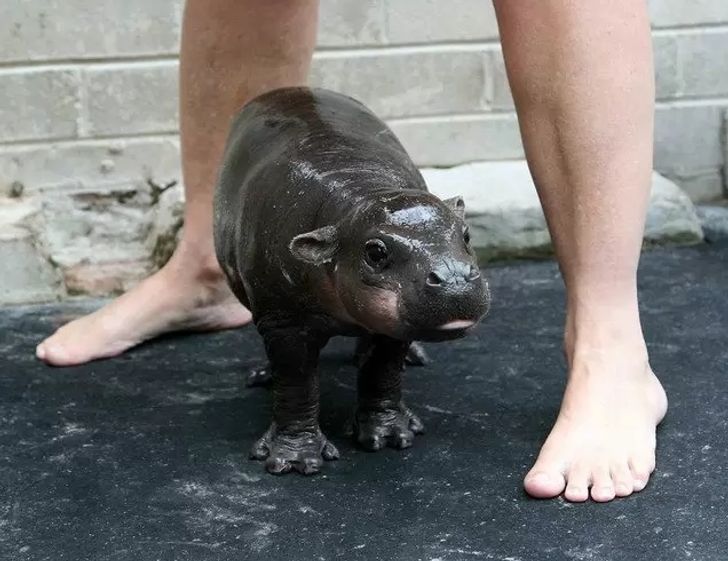 8eaaa15a0eaf64aec5b65836ad