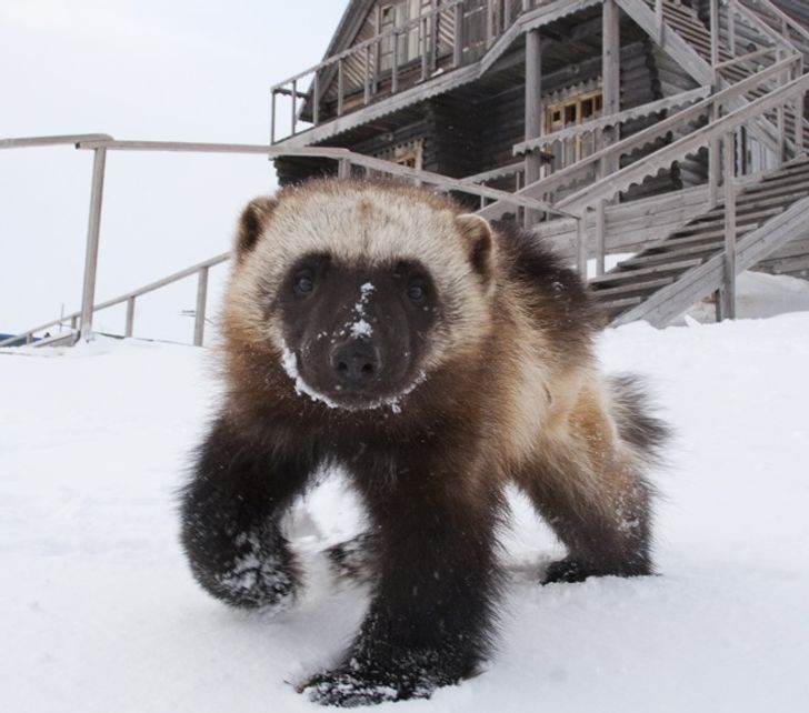 8eac44598fbae7503b40d49770