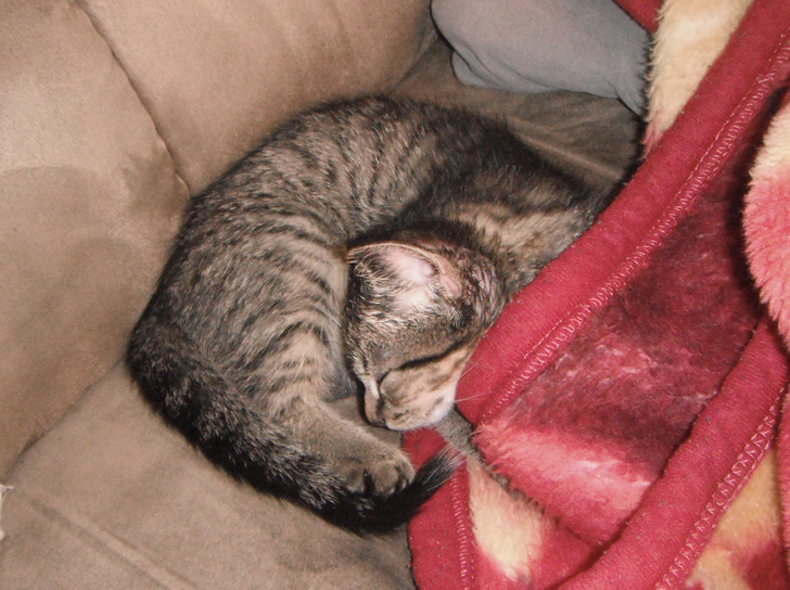 8ead015426bec75a24e08e0409