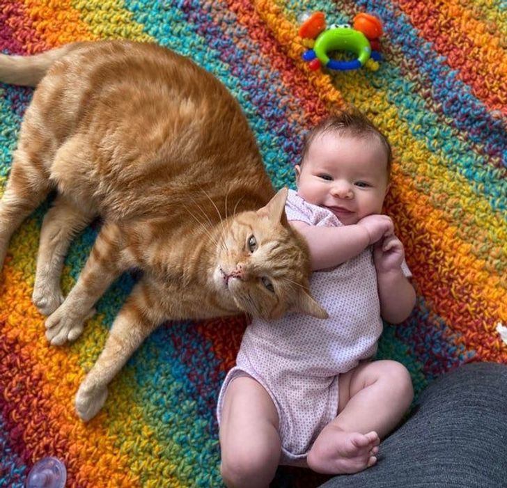 8eb5105ad38fc94f6d8ec75349