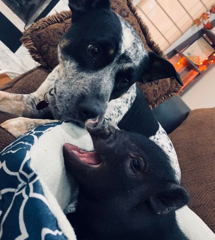 8eb7cc5b80b51d30e2bd7f09ab