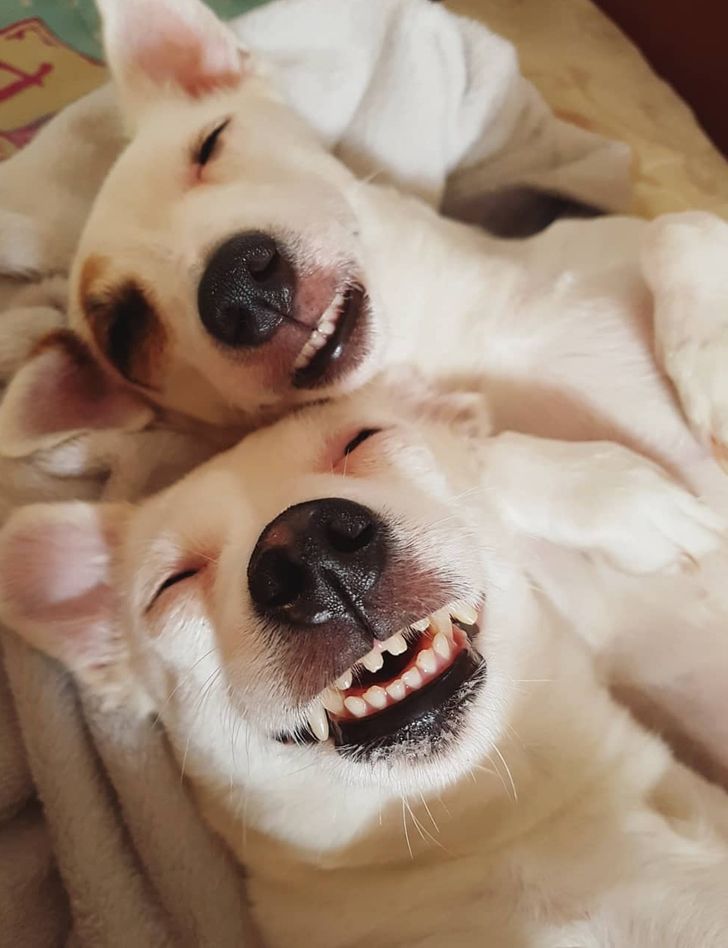 8ebd4051299cdc130ccfe37730