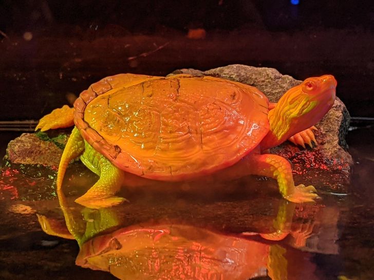 8ebe4e598eb3bf3354502fae01