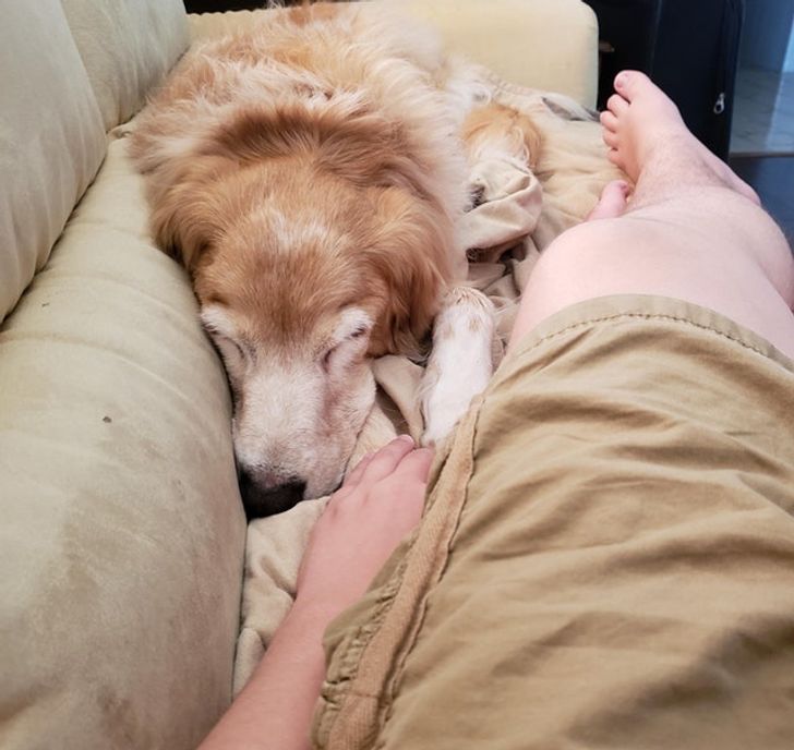 8ec6075d07b82e85df98ae81b8 8ec6075d07b82e85df98ae81b8