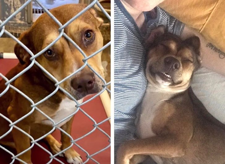 8eca4c5ac8933abd3c5fe271a8