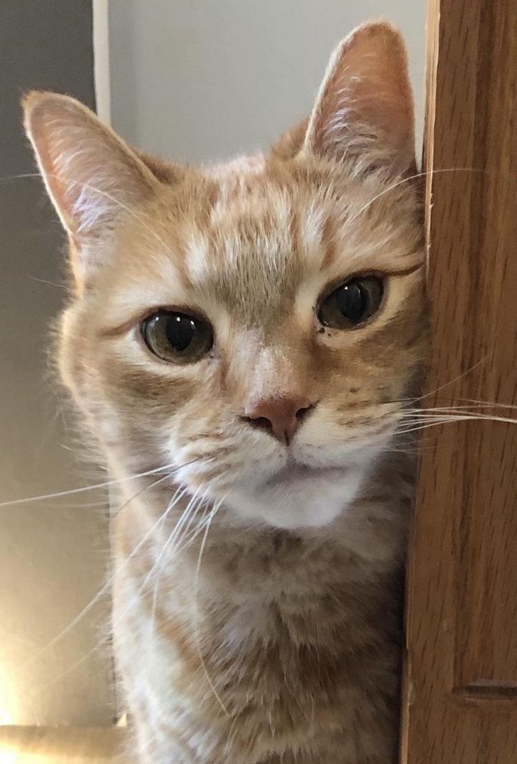 8ef631543caed4e1898898f023