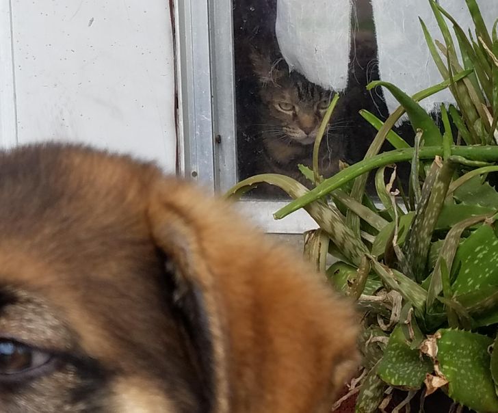 8eff9a5e3f88a39f2b64553184