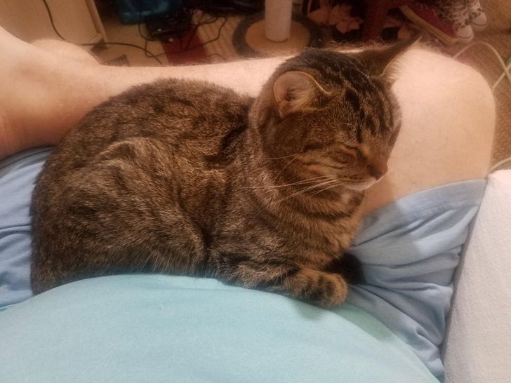 8f040b50149eead2b4f64c3a4f