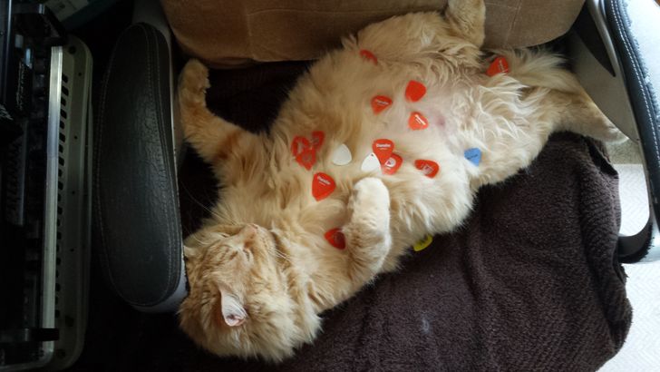 8f0dcc5befb6641d19cfd4416b