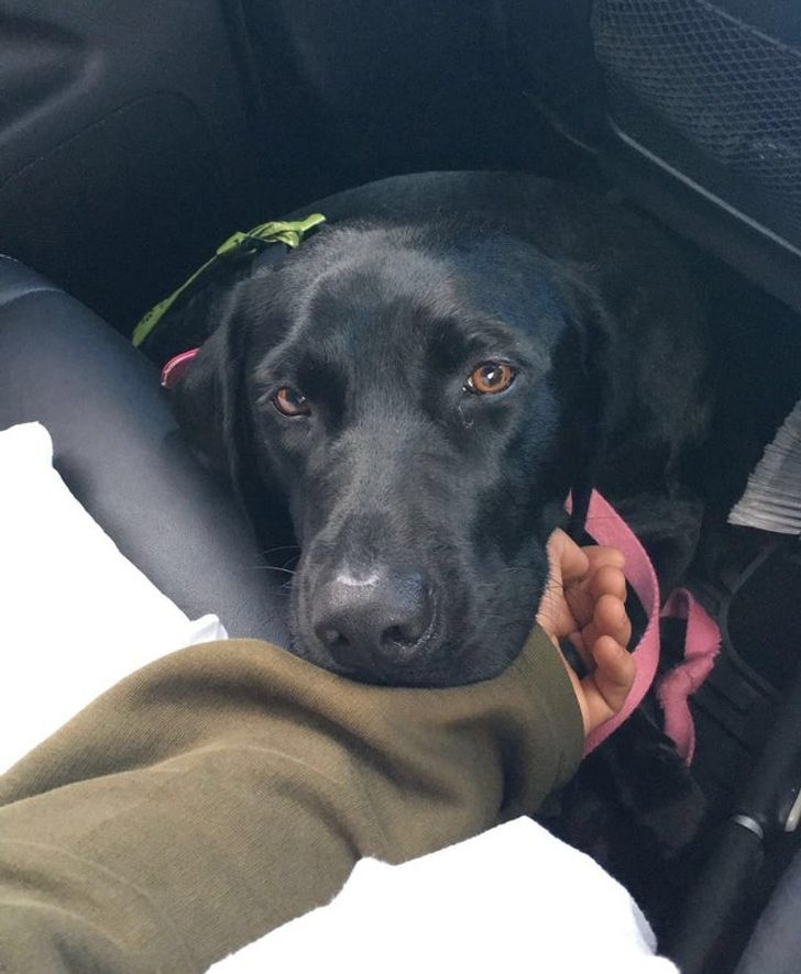 8f1127507ea29014ae8c90b612