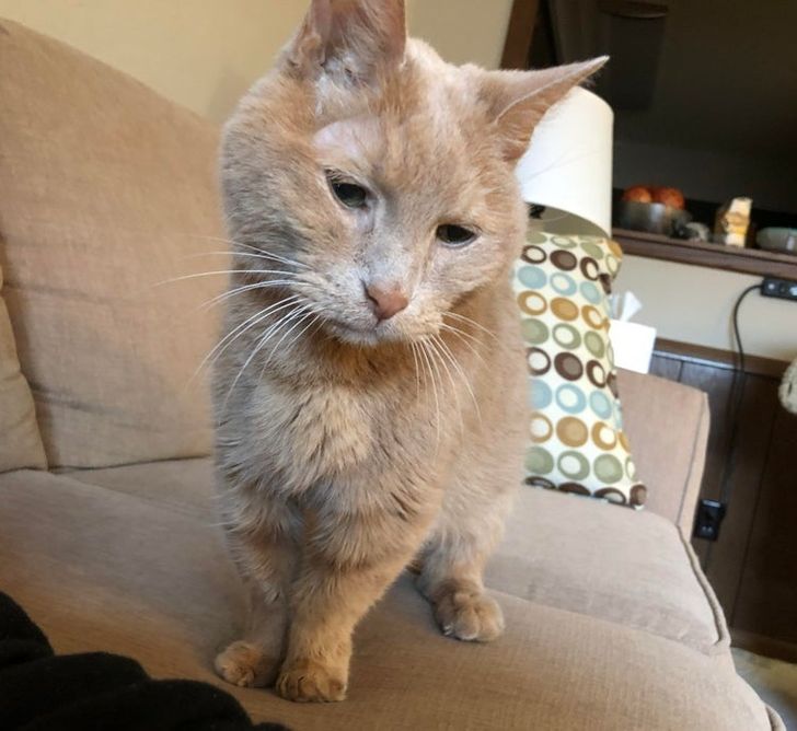 8f1c575cefaf0404397411366c