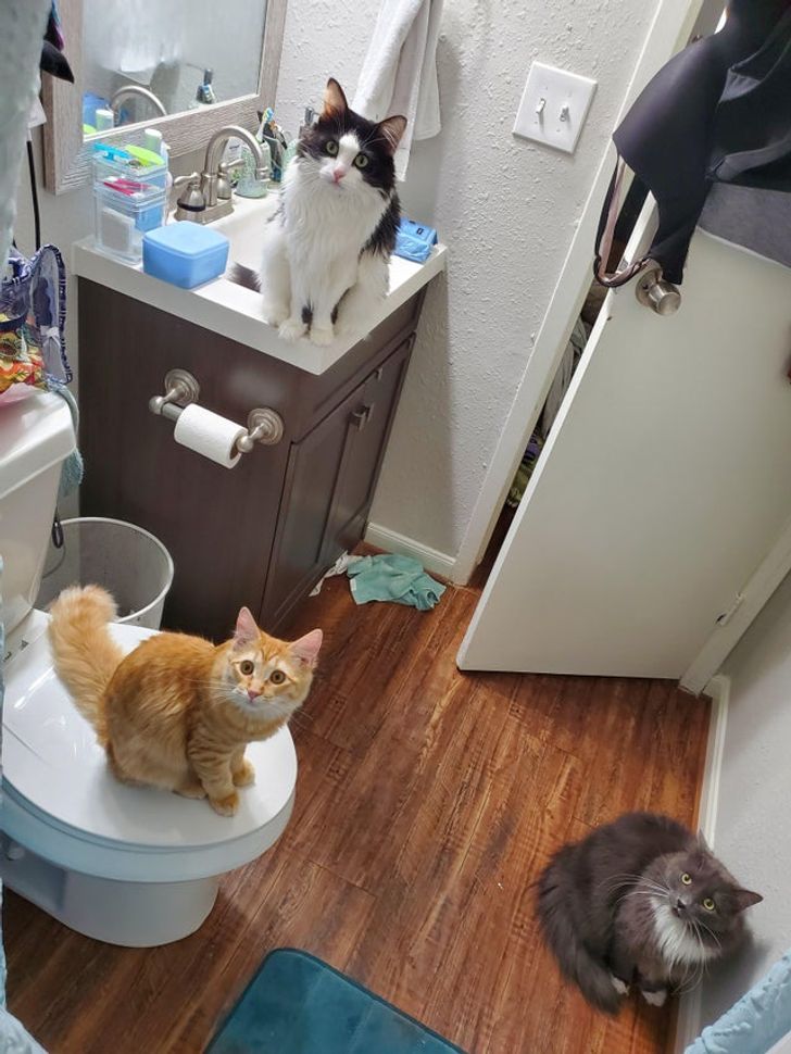 8f26c55cb7b460e28a9d1012b2