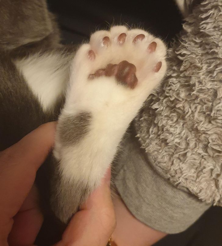 8f2ea958dc8e6b367c18a25d2d 8f2ea958dc8e6b367c18a25d2d