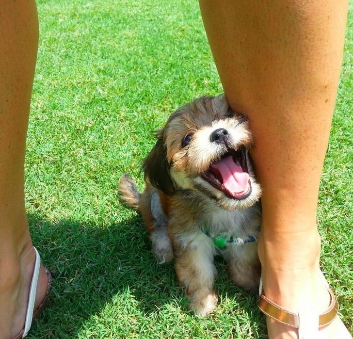 8f375b551ca1249daa068ac8d3