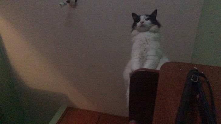 8f385d5c388443d66bd87b208c