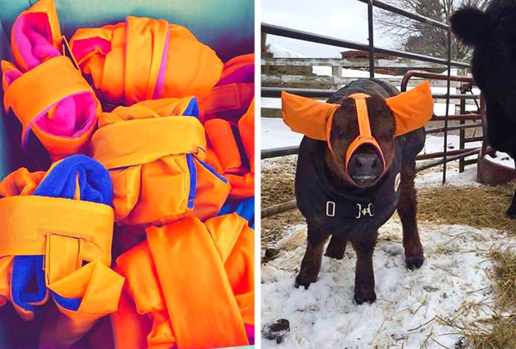 8f54425025974d3aecf3511ec4