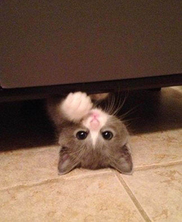 8f57335594925c601bf077ce5d