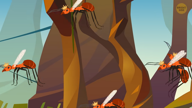 8f62ea582abb4e5ade1995cb17 8f62ea582abb4e5ade1995cb17