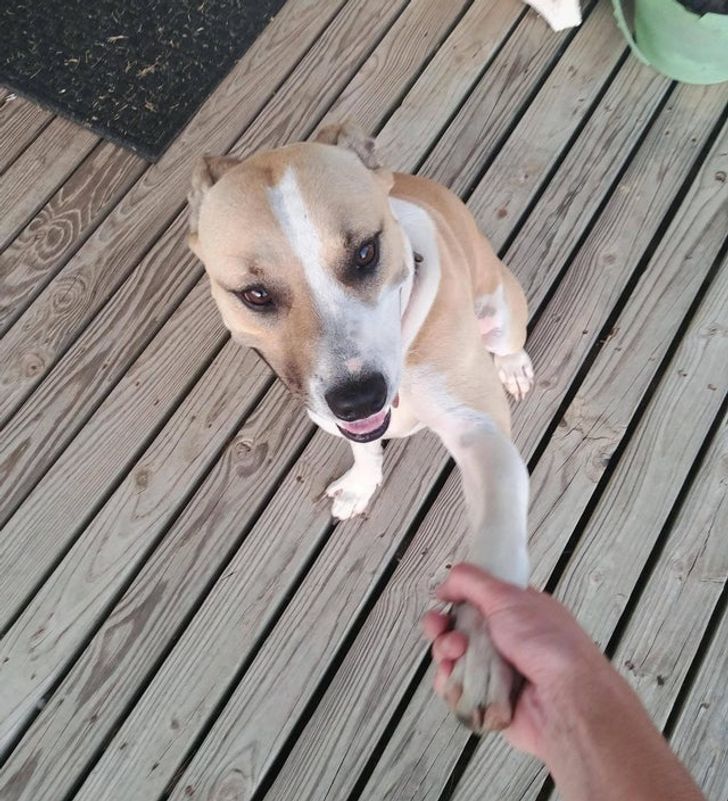 8f6426586c8f2896b82af92591