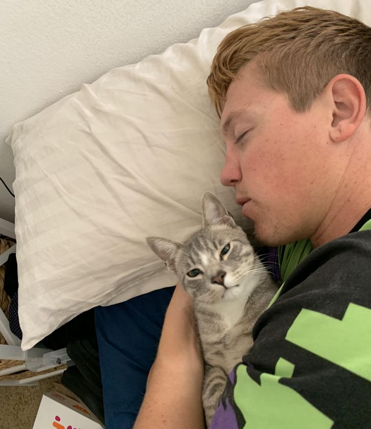 8f668e586cb14b0a86c3501492