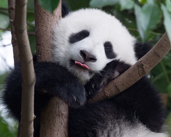 8f6b445992bad2a33ef2d107c6