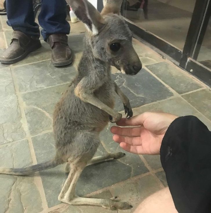 8f70565cf69663e0899dd3c983